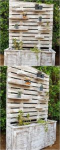 Pallet Planter