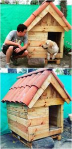Pallet Wood Pet House